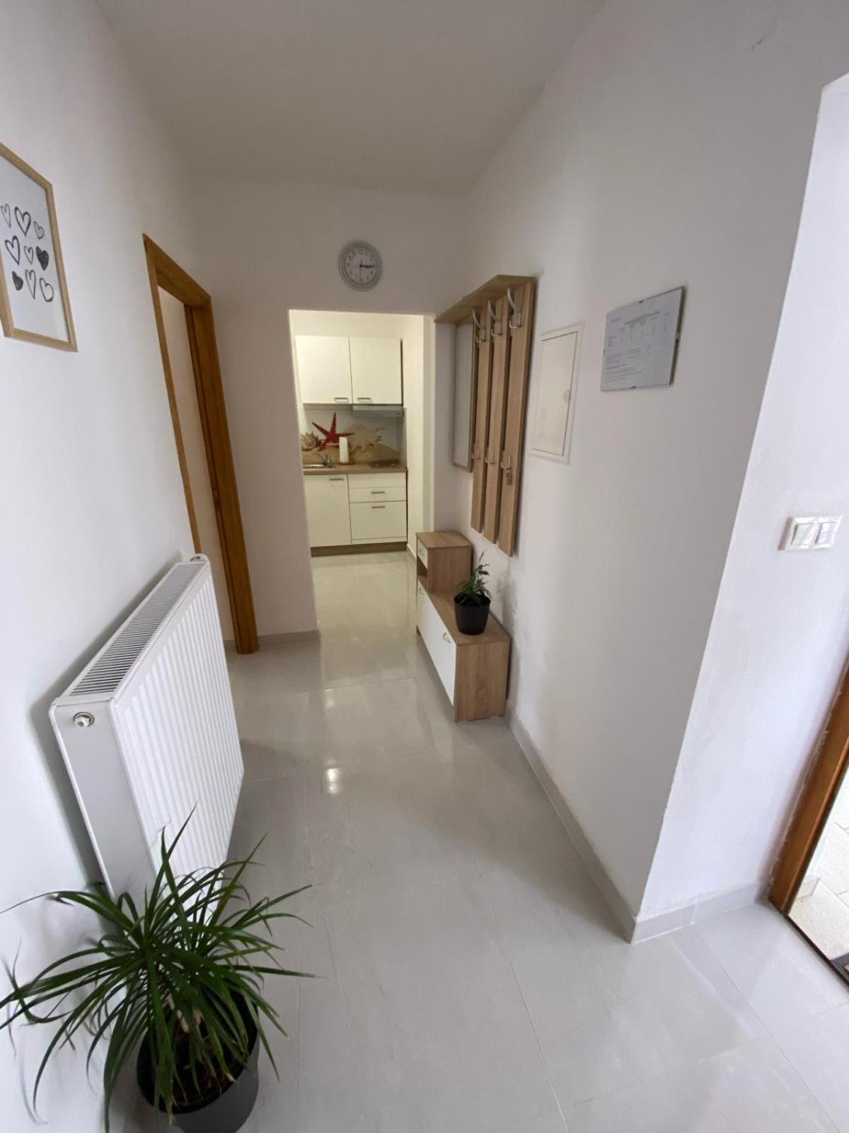 Apartmani Radosav Šilo Extérieur photo